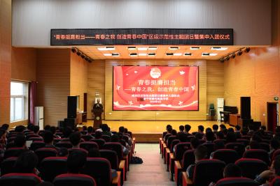 咸安区举行新团员示范性入团仪式