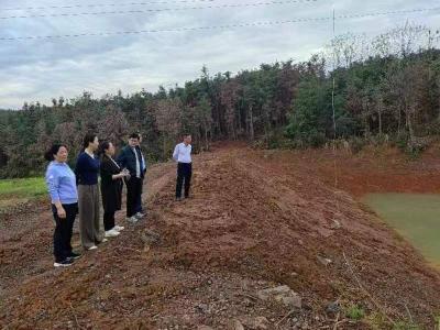区公检中心调研走访解民忧 为民纾困暖民心  