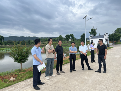 双溪桥镇：深入开展代表行动，提升共同缔造水平