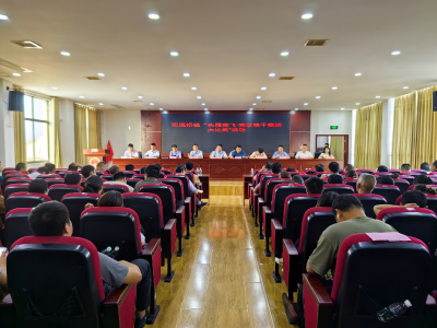 双溪桥镇：头雁竞飞 振兴乡村