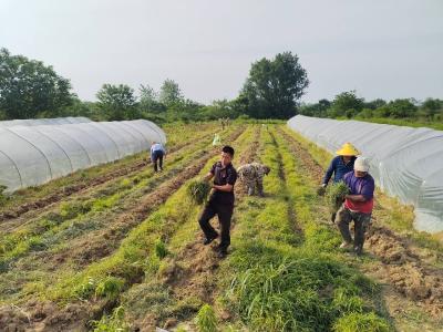（长江云）基层人物 | 余高远：身虽残疾志不短  自食其力兴农业