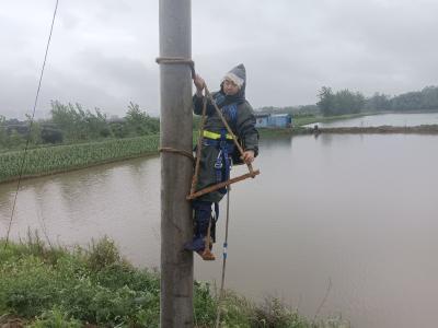 向阳湖镇：桂乡管家闻“汛”而动，暴雨之中暖万家