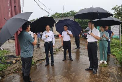 省农业农村厅来咸安指导防汛减灾工作