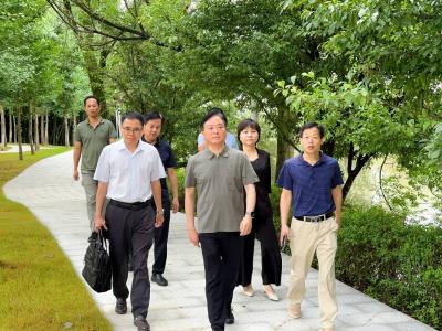 顾兴旺调研北洪港小流域综合治理工作