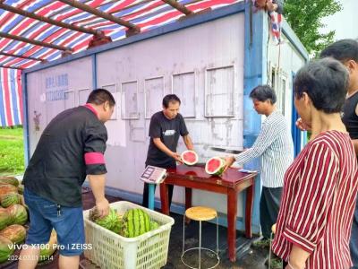雨坛垴村陈北塘：西瓜丰收季 集体经济助推乡村振兴新征程