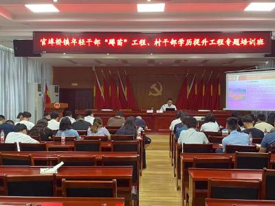 官埠桥镇：学习党的二十届三中全会精神 提升镇、村干部能力素养