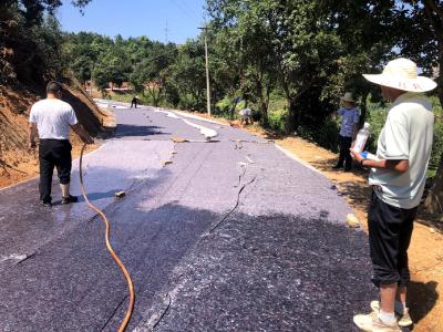 浮山街道杨下社区：兴修产业道路 共建美丽家园