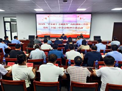 “平安咸宁全域提升”向阳湖镇工作队学习贯彻党的二十届三中全会精神