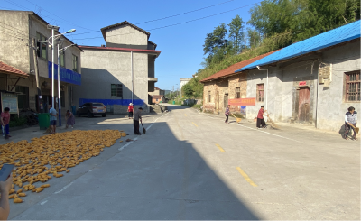 美好乡村 共同缔造