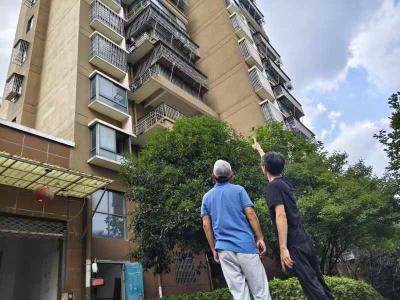 浮山街道银泉社区：“桂乡管家”守护“头顶上的安全”