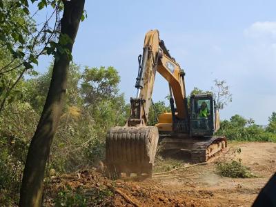 向阳湖国家湿地公园：修建沿湖公路 助力乡村振兴