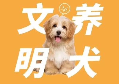 致养犬市民的一封信