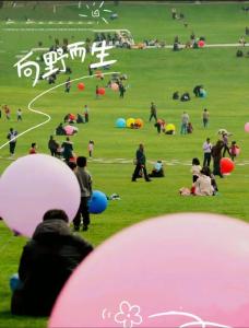 松鼠部落重磅推出国庆气球海洋大狂欢！
