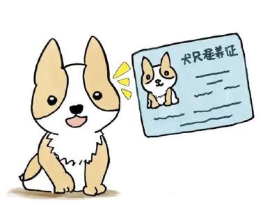 家有爱宠请注意！养犬登记证办证须知→