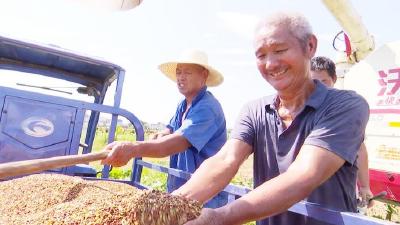 湖北咸宁市咸安区：良田粮用 林果上山 耕林空间优化拓富路