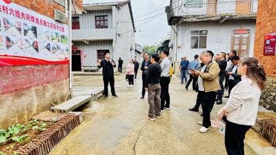 贺胜桥镇开展共同缔造观摩拉练活动