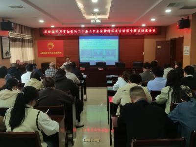 马桥镇深入学习贯彻党的二十届三中全会精神