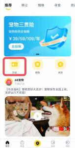 犬证如何办理？攻略来咯~
