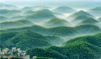 星星竹海风景区