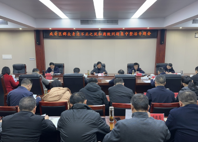 咸安区召开群众身边不正之风和腐败问题集中整治专题会