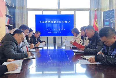 区委统战部召开全面从严治党工作专题会议 