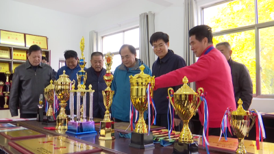 市老年体协祝贺咸安老年门球队蝉联全国冠军