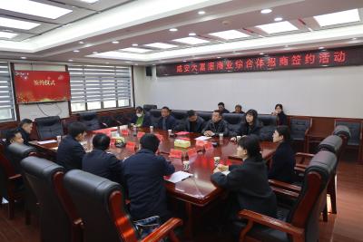 咸安大富源商业综合体招商项目成功签约