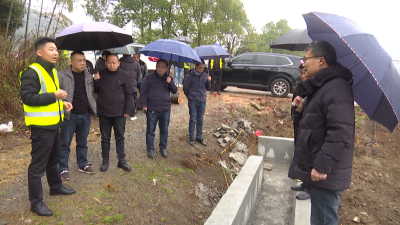 咸安区召开高标准农田建设项目现场推进会