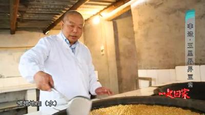 江夏区界豆酱（模板）