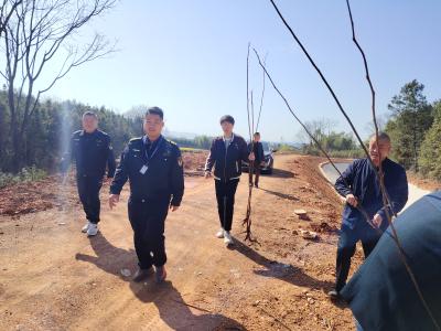 多部门联合集中整治渠道管理范围内违规开垦种植行为