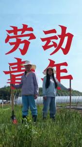 汗水浇灌青春 劳动筑梦未来