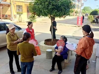 向阳湖镇：国安知识进乡村  安全理念入人心