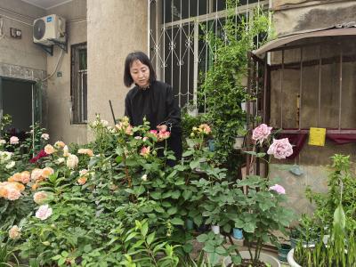 家门口的“微型花园”