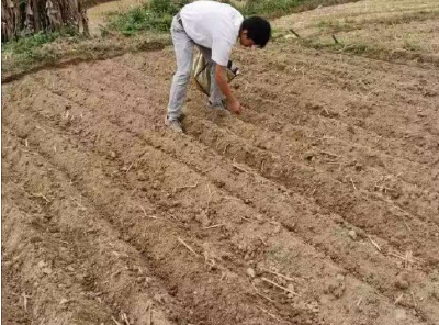 谷雨时节，播种希望之田