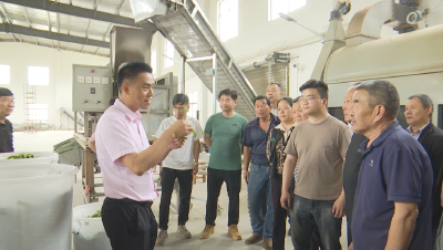 咸安：加强茶商交流 开发利用夏秋茶资源