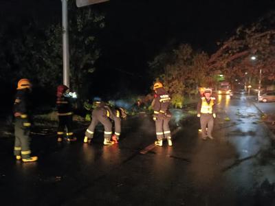 迎战风雨保通畅 马桥交警深夜鏖战倒伏大树保平安！