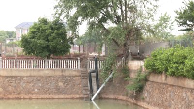 咸安区向阳湖镇：修建泵站除水患 民生工程暖民心