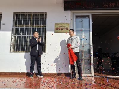 数字高桥添 “智慧” 惠民套餐送 “安心”