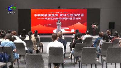 【提升干部素质 助力支点建设】区妇联创新培训 点燃女性成长“新引擎”