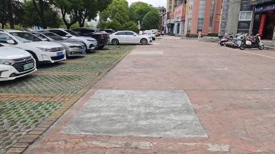 拆除占道树池解民忧 精细管理畅通出行路