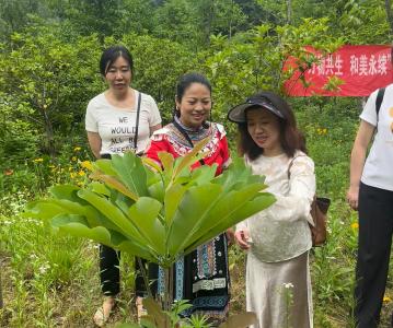 市生态环境局咸安区分局联合通城县分局举行生物多样性宣传活动