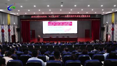 区教育系统举办师德师风专题讲座