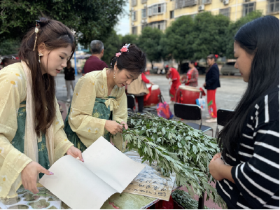 温泉街道：艾草青青传文脉 邻里融融筑同心