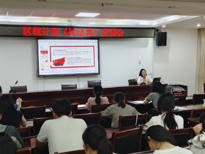 区统计局：以案释法 正身律己