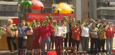 粽情端午传文明 趣味竞赛展风采