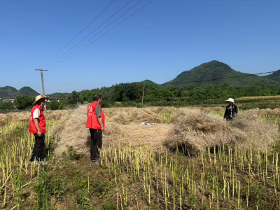 马桥镇垅口村：严防秸秆“一把火”，筑牢禁烧“防火墙”