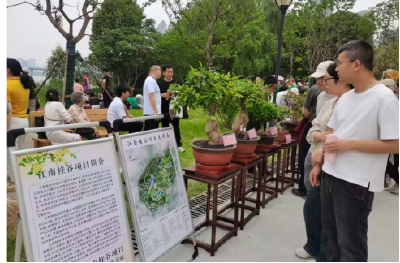 世界花园之约，咸安来了！