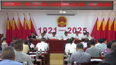 高桥镇召开第十届人大第四次会议