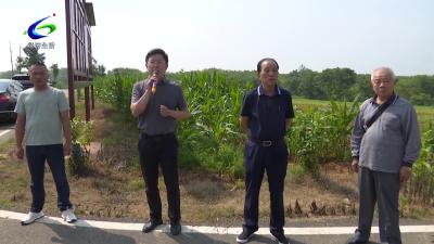老干部调研双溪桥镇农业产业化发展工作