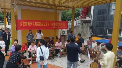 白茶社区：端午佳节，粽叶飘香